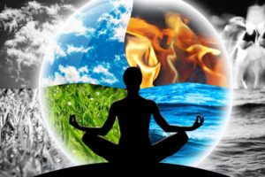 Herbal Energetics, Bev McLeish Chartered Herbalist Herbal North Aurora York Region Out of the Woods Wellness in Aurora